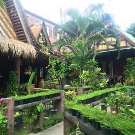 P P Garden Home Bungalow, hótel á Phi Phi-eyjum