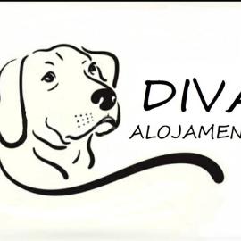 Diva Alojamento