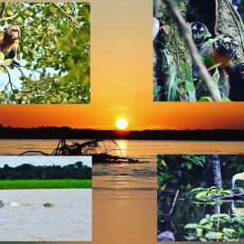 Jungle Wolf Expeditions Lodge & Tours Iquitos – hotel w mieście Yucuruche