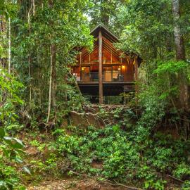 The Canopy Rainforest Treehouses & Wildlife Sanctuary, hotel v destinaci Tarzali