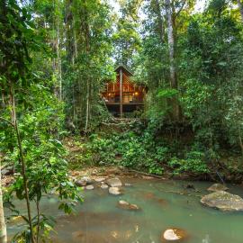 The Canopy Rainforest Treehouses & Wildlife Sanctuary – hotel w mieście Tarzali