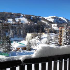 Appartement T4 esprit chalet jolie vue PRA LOUP 1600