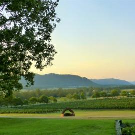 Winmark Wines, hotel di Broke