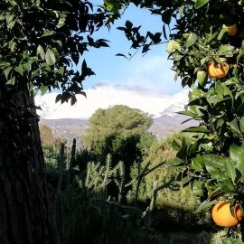 ETNA MARE Jonio