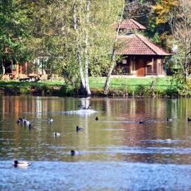 Felsenland Apartment, Hotel in Ludwigswinkel
