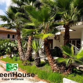Greenhouse