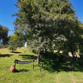 La Caballeriza, hotel a La Granja