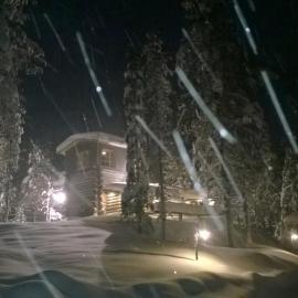 Ankkalinna