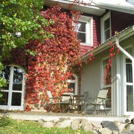 Pohlametsa Holiday House