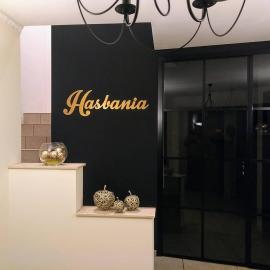Hasbania Vakantiewoning，Gingelom的飯店
