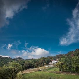 Agriturismo "La Collina" - 15km dal centro di Torino