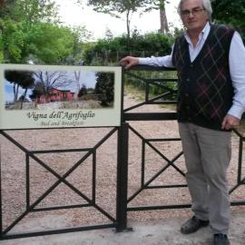 Vigna dell'Agrifoglio Home Residence di Eugenio Azzolini