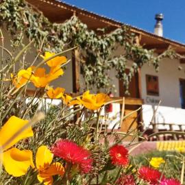 Putre में, होटल La Chakana Lodge