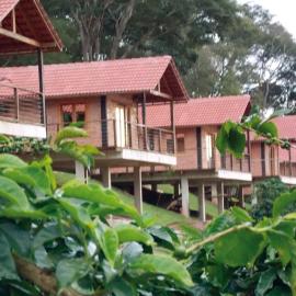 Pousada Café da Mata, hotel in Alto Caparao