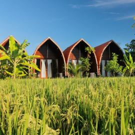 Keramas Surf Camp, Hotel in Keramas