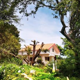 Locanda SottoBosco, Hotel in San Leonardo