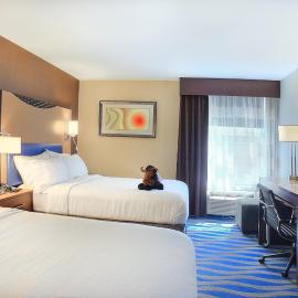 Holiday Inn Cody - Convention Center by IHG, hotelli kohteessa Cody