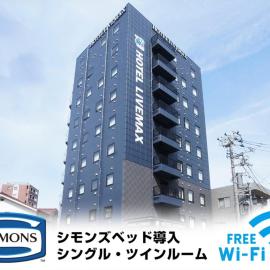 HOTEL LiVEMAX Minamihashimoto Ekimae, hotel i Sagamihara