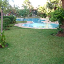 Sidi bouzid B6