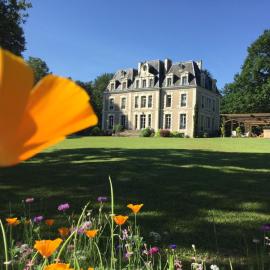 Château des Essards avec piscine et jacuzzi, hotel in Langeais