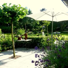 Bed and Breakfast Valckenbosch, מלון בזייסט