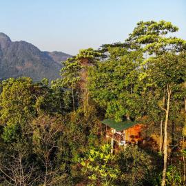 Tree Houses by Jungle River, hotel v destinaci Ginigathena