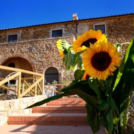 Antico Borgo Casalappi, Hotel in Campiglia Marittima