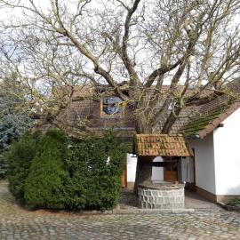 Ein Bett im Kornfeld - Haus Weitblick - mit Innenpool: Schönfeld şehrinde bir otel