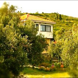 Kyra's Paradise, hotel a Potistika