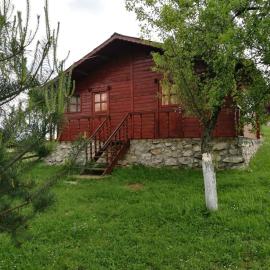 Pensiunea Gernik 100, Hotel in Gârnic