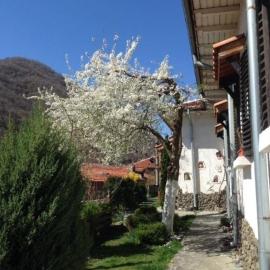 Къща за гости Спасителна, hotel em Brezhani