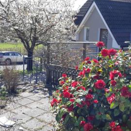 Tir na nOg - A Piece of Heaven, Hotel in Bantry