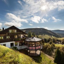 Bergseele Privat- & Retreathotel Schwarzwald, Hotel in Todtnauberg
