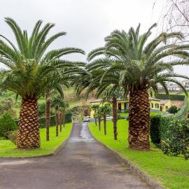 Quinta das Palmeiras, hotel in Povoação
