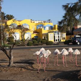 Lagoon Lodge, hotel a Walvis Bay