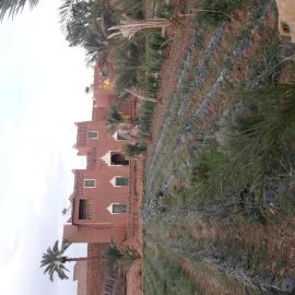 Auberge jnane dar diafa se trouve au centre de tamegrouteface de la bibiotheque, hotel sa Tamegroute