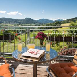 Hotel Seehof, hotel i Sankt Georgen am Längsee