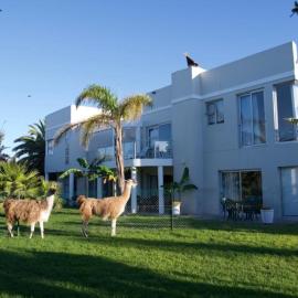 Lamabeach city farm