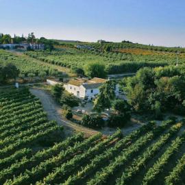 Bodega Boutique Finca Buytrón, hotel in Montilla