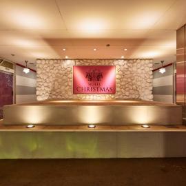 Hotel Christmas (Leisure Hotel), hotell sihtkohas Inazawa