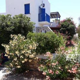Viesnīca Village house in Paros pilsētā Driosa