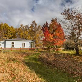 Kaha Cottage - Rangataua Holiday Home