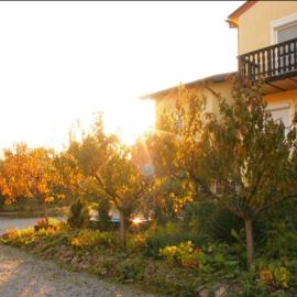 Ferienwohnungen Ödenburgerhof, hotel a Mörbisch am See