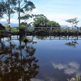 Fazenda Monte Verde a Morada do Muriqui