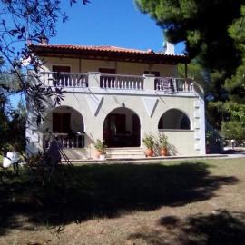 Pine tree house: Troulos şehrinde bir otel