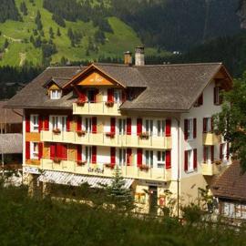 Hotel Des Alpes, מלון בקנדרסטג
