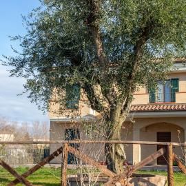La Merlana affittacamere, hotel em Morrovalle