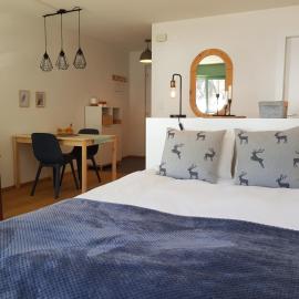 Studio - Cosy et central, Haute-Nendaz, 4 Vallées, מלון בננדה