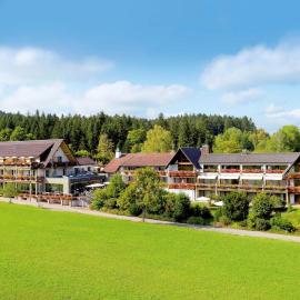Hotel Grüner Wald、フロイデンシュタットのホテル