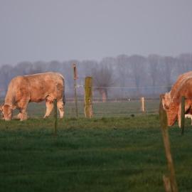 B&B Bij Bronckhorst